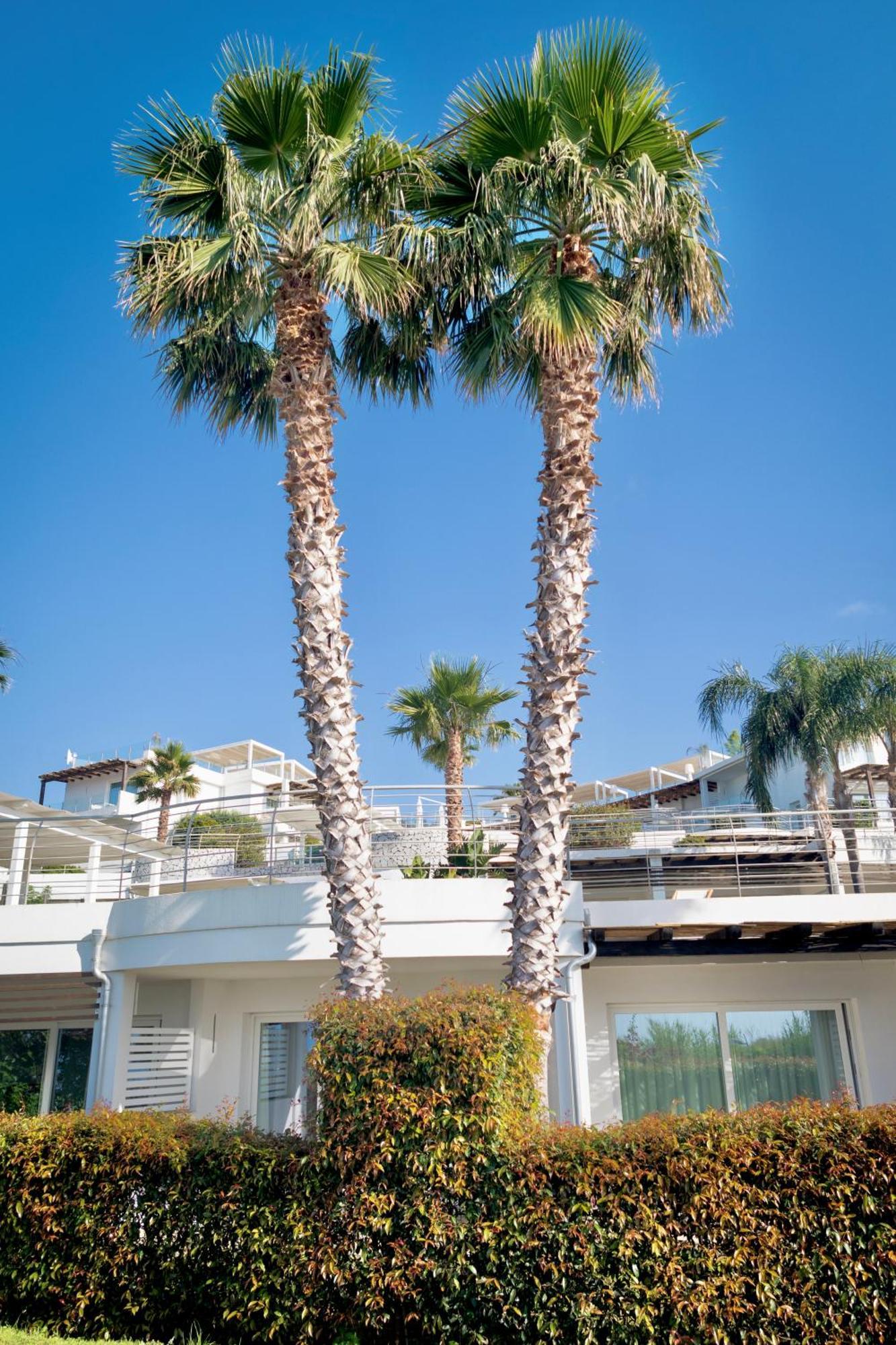 פרגליה Infinity Resort Tropea מראה חיצוני תמונה